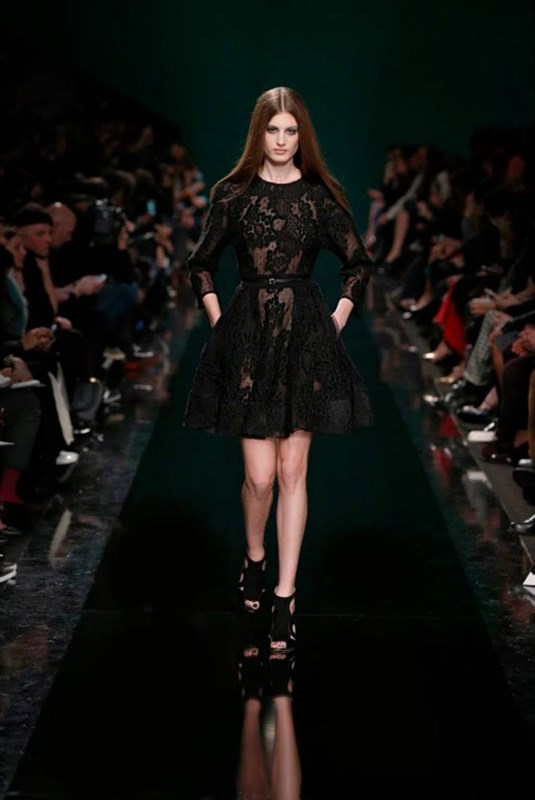 Elie Saab Autumn Winter 2014 2015 Fashion Show